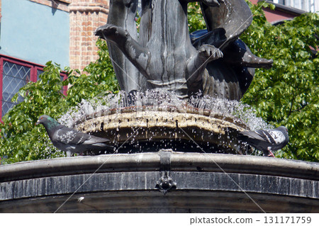 pigeons birds in Tryton fountain in Gdansk Poland 131171759
