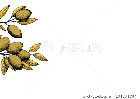 Botanic background with olive branch sketch. Ink hand drawn olives set. Botanic plant vector illustration. A sprig of an olive tree with leaves. Food concept. Wallpaper with greenery olive tree 131171794