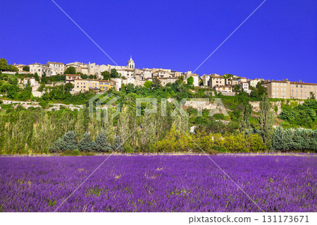 Sault town in Provence and blooming lavender fields 131173671