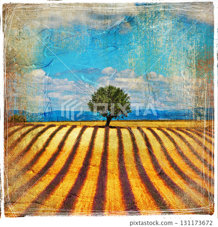 lavender feelds and tree - picture in retro style 131173672