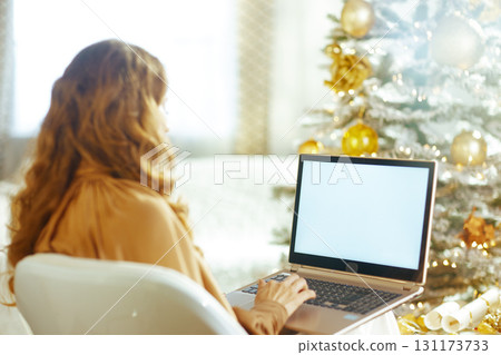 Woman Working on Laptop by a Warm Christmas Tree Woman Working on Laptop by a Warm Christmas Tree 131173733