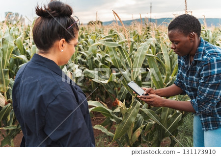 Farmers using mobile app for inspecting corn crops in field 131173910