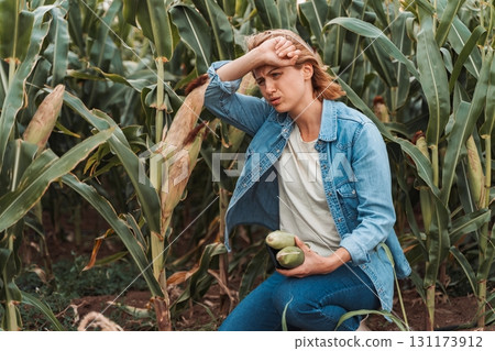 Sad farmer holding corn cobs and suffering from heat stroke in cultivated cornfield Sad farmer holding corn cobs and suffering from heat stroke in cultivated cornfield 131173912