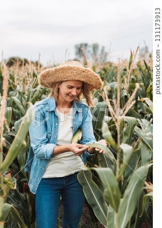 Farmer examining corn leaf in cultivated field Farmer examining corn leaf in cultivated field 131173913