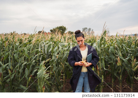 Female agronomist inspecting corn cob in cultivated field Female agronomist inspecting corn cob in cultivated field 131173914