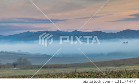 A serene vista of low-lying fog nestled between rolling hills under a pastel-tinged sky at sunrise. 131174477