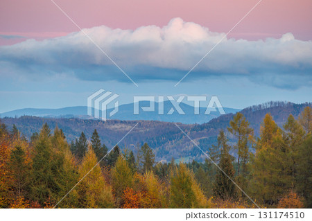 Autumn landscape with colorful trees and mountains under a pink and cloudy sky in the background. 131174510