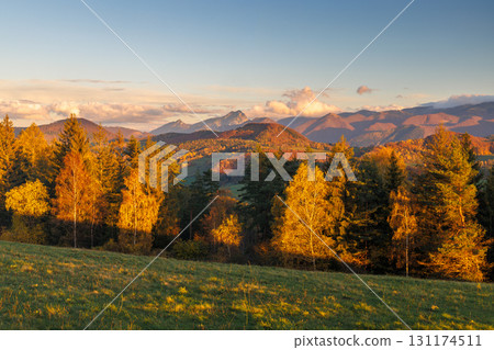 Autumn Sunlight on Rolling Hills: A Scenic Mountain Landscape with Golden Trees and Distant Peaks. The Mala Fatra national park in Slovakia, Europe. 131174511