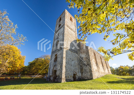 The Katarinka, ruins of a Franciscan monastery and church in Slovakia, Europe. Ancient stone tower against a vibrant blue sky, surrounded by autumn trees and a green grassy hill. 131174522
