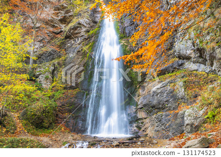 The Sutovsky waterfall in The Mala Fatra national park in Slovakia, Europe. Waterfall cascades down a rocky cliff face surrounded by autumn foliage in a vibrant natural landscape. The Sutovsky waterfall in The Mala Fatra national park in Slovakia, Europe. Waterfall cascades down a rocky cliff face surrounded by autumn foliage in a vibrant natural landscape. 131174523