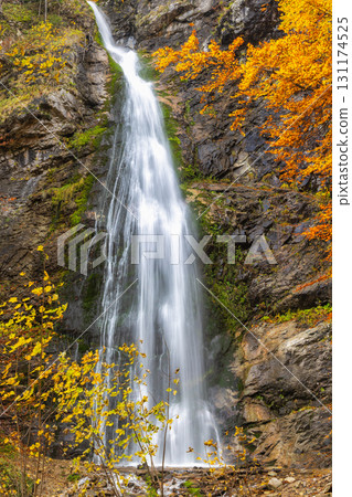 The Sutovsky waterfall in The Mala Fatra national park in Slovakia, Europe. Autumnal Waterfall: Water cascades down rocky cliff, framed by vibrant fall foliage in a scenic nature setting. 131174525