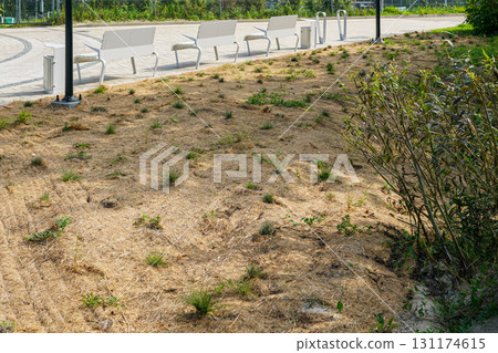 New beach access with sand erosion protection fabric matting in Liepaja, Latvia, Baltic Sea coast New beach access with sand erosion protection fabric matting in Liepaja, Latvia, Baltic Sea coast 131174615