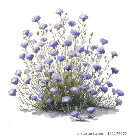 Wildflowers for Bees in Watercolor Style Pastel Clipart with Soft Shadows Transparent Background 131174672