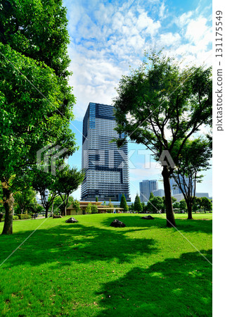 從豐洲公園看到的塔樓公寓大樓 131175549