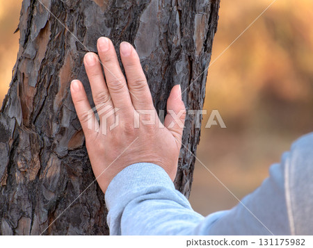 Feeling and connecting with the natural world. 131175982