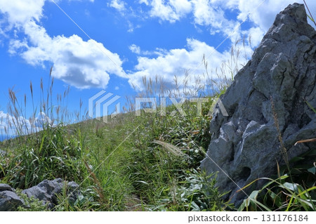夏末漫步天狗高原(四國喀斯特) 夏末漫步天狗高原(四國喀斯特) 131176184