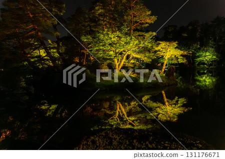 花園在水面上的倒影 131176671