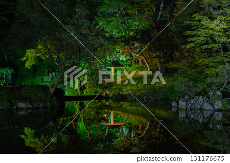 Reflection of the garden on the water Reflection of the garden on the water 131176675