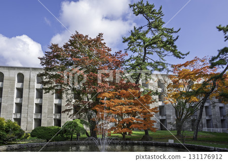 Autumn leaves have begun to fall at Sasanagare Autumn leaves have begun to fall at Sasanagare 131176912