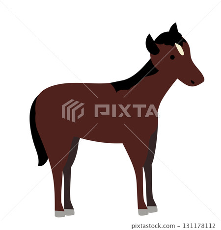 可愛的棕色馬圖 可愛的棕色馬圖 131178112