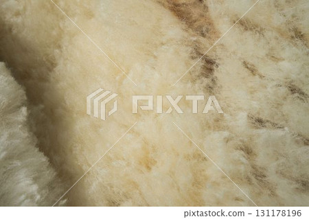 剛剪下的羊毛的特寫 131178196