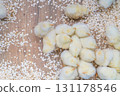 毛茸茸的黃色小雞 131178546