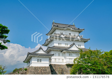 神奈川縣小田原城 神奈川縣小田原城 131178578