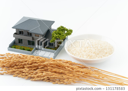 微型房屋、白米和米飯 131178583