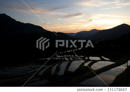 水稻梯田上的日落 131178687