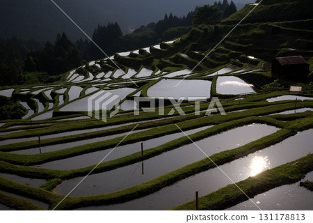 Rice terraces lit up by the sun 131178813