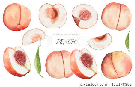 水彩桃子向量插圖集 131178892