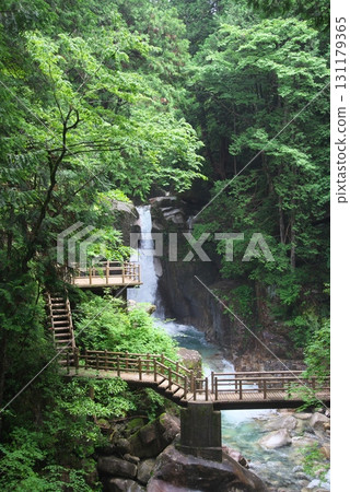 A hidden waterfall surrounded by fresh greenery 131179365