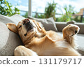Hot summer: sunny weather, warm breeze, stuffy feeling, intense heat, bright light, sweltering sun, high warmth, blazing afternoon, humid air, scorching season 131179717