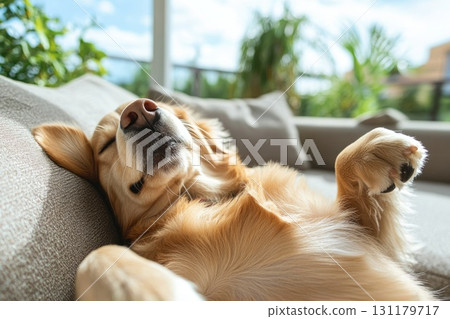 Hot summer: sunny weather, warm breeze, stuffy feeling, intense heat, bright light, sweltering sun, high warmth, blazing afternoon, humid air, scorching season 131179717
