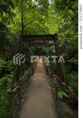 An approach to the entrance wrapped in fresh green An approach to the entrance wrapped in fresh green 131179947