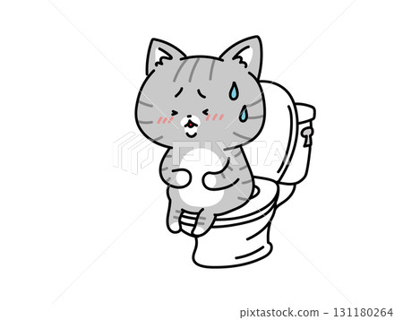 A cat with a stomach ache stays in the toilet 131180264