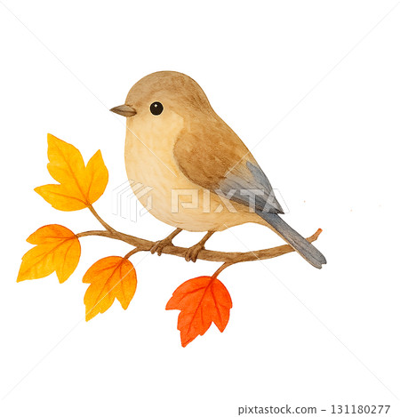 水彩畫：一隻小鳥棲息在秋葉的枝頭。可愛的秋季野鳥PNG剪紙。 131180277