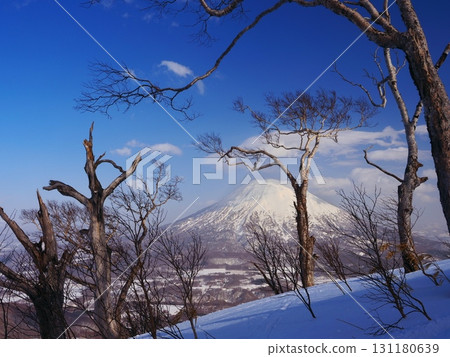 Niseko Tokyu Grand Hirafu in the winter season, with a view of Mt. Yotei from near Earth Hill 131180639
