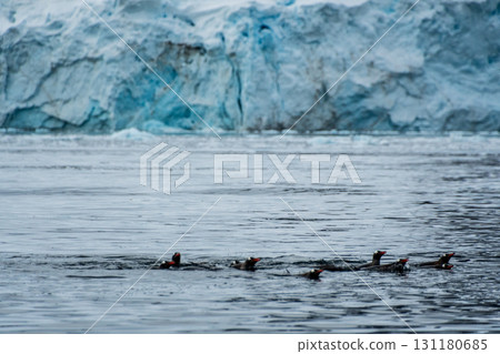 Swimming and Jumping Penguins among the Antarctic Sea Ice 131180685