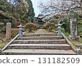 Cherry blossoms blooming along the approach to Zuishoan, a Soto Zen temple in Ube City, Yamaguchi Prefecture 131182509