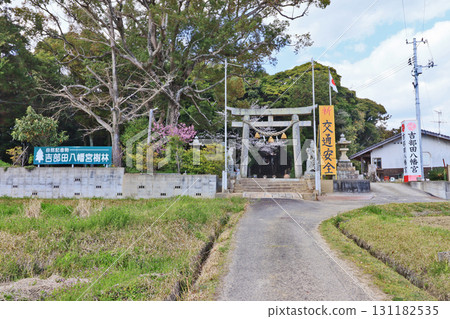 The approach and torii gate to Yoshibeta Hachiman Shrine in Sanyo Onoda City, Yamaguchi Prefecture 131182535