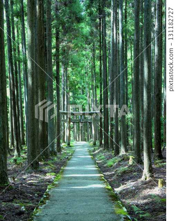 從通往賀茂神社的參道上看到的鳥居,它靜靜地矗立在遠離京都市區的大山之中 從通往賀茂神社的參道上看到的鳥居,它靜靜地矗立在遠離京都市區的大山之中 131182727
