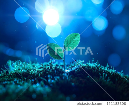 The miracle of life: sprouts glowing in the darkness The miracle of life: sprouts glowing in the darkness 131182808