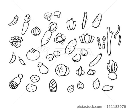 蔬菜線描插圖集 131182976