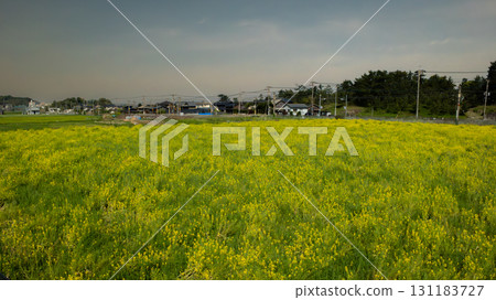 view through the field in Japan village view through the field in Japan village 131183727