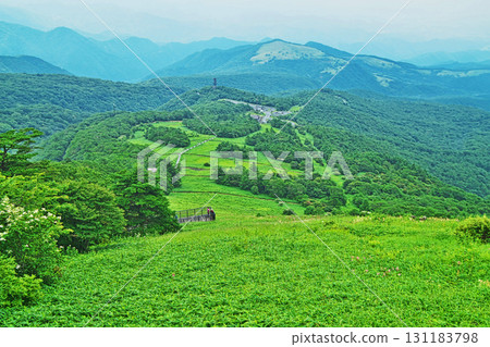 日光市霧降高原木菅平庭園的景色(夏季、7月) 日光市霧降高原木菅平庭園的景色(夏季、7月) 131183798