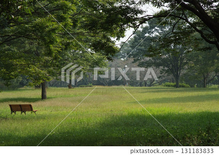 Green park 131183833