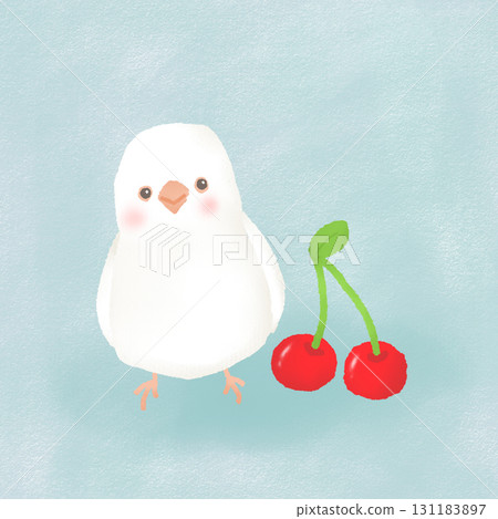Cute Java Sparrow and Cherries Illustration 131183897