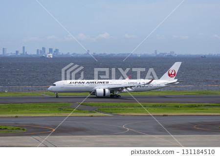 View of Haneda Airport, landing plane, Ota Ward, Tokyo 131184510
