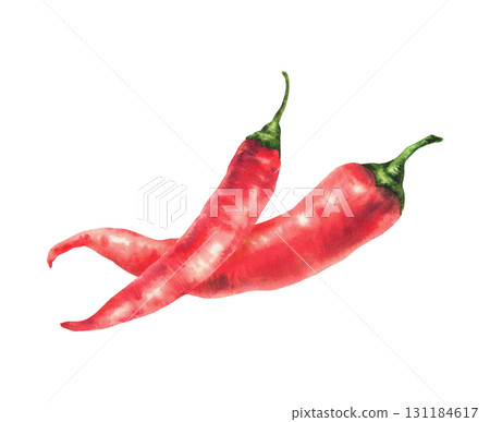 Red hot chili pepper watercolor hand drawn illustration. Fresh raw organic two cayenne peppers realistic clipart. Spicy vegetables for food spices label, sauces, menu, recipe. Isolated from background Red hot chili pepper watercolor hand drawn illustration. Fresh raw organic two cayenne peppers realistic clipart. Spicy vegetables for food spices label, sauces, menu, recipe. Isolated from background 131184617